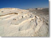 �܂�d�Ȃ����ΊD��͂��낭�č��ɂ���ꂻ��