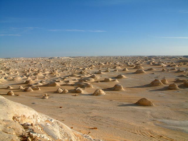 �e���g�̋u���猩����i