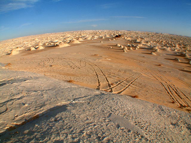 �e���g�̋u���烏�C�h�ŎB�e