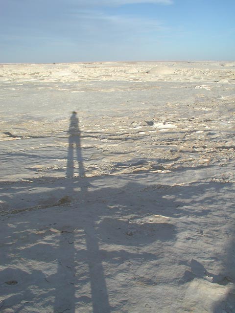 �����ΊD��̗l�q