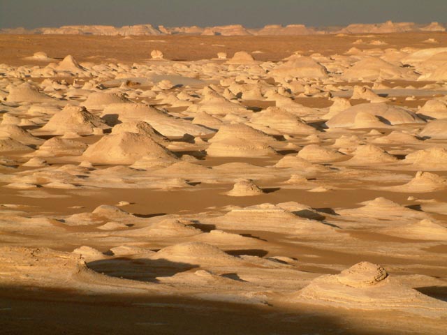 �ʂ̘f���ɂ��邩�̂悤�Ɏv����e���g�Q