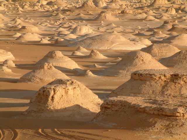 �e���g��̃A�b�v