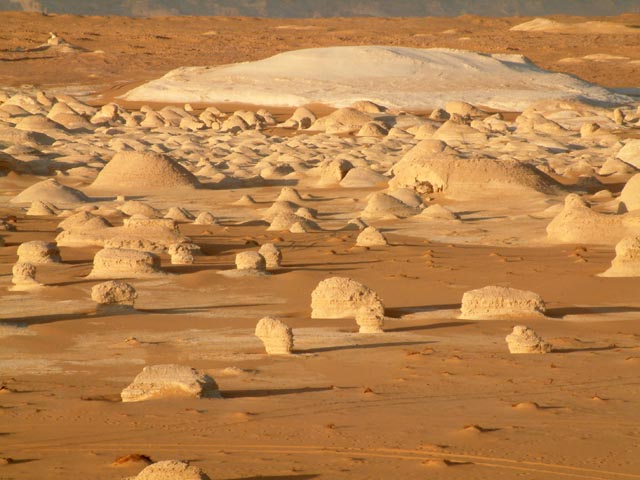 �����傫�ȃe���g�₪����A�����ɃW�[�v�œo���Či�F������