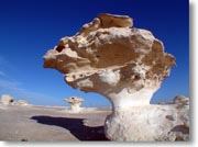 ��O�̃L�m�R��Ɖ����̃L�m�R��