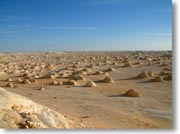 �e���g�̋u���猩����i