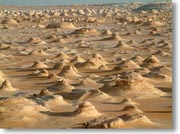 �������̃e���g�������L�����v�����Ă��邩�̂悤�Ɍ�����