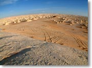 �e���g�̋u���烏�C�h�ŎB�e