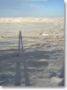 �����ΊD��̗l�q