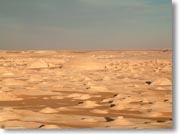 ���X�̃e���g���[�������тăI�����W�F�ɐ��܂�