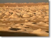 �ʂ̘f���ɂ��邩�̂悤�Ɏv����e���g�Q