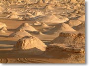 �e���g��̃A�b�v