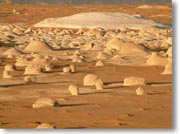 �����傫�ȃe���g�₪����A�����ɃW�[�v�œo���Či�F������