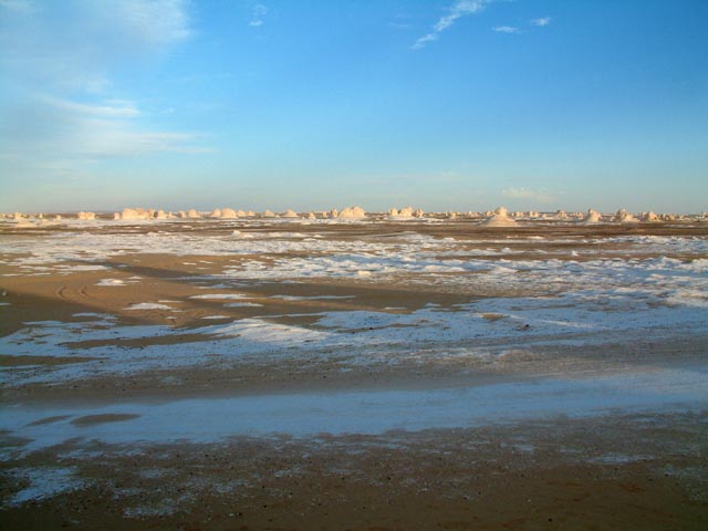 �ΊD�₪�I�o���Ďc��̂悤�Ɍ�����V�������̕��i