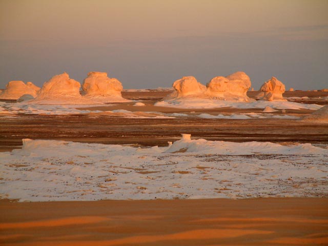 �ΊD�₾�������A���̑�j�͑S�ăI�����W�F�ɐ��܂����V������