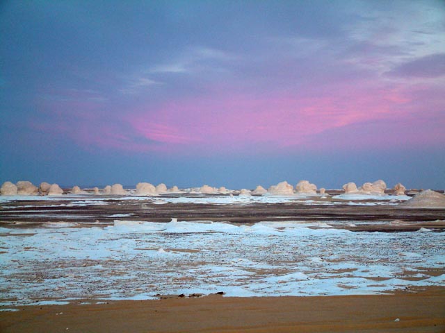 ���̋�܂Ńs���N�F�ɐ��܂��Ă���V�鍻���̗l�q