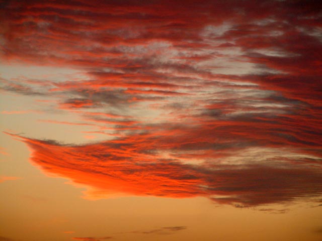 �I�����W�F�ɐ��܂����_