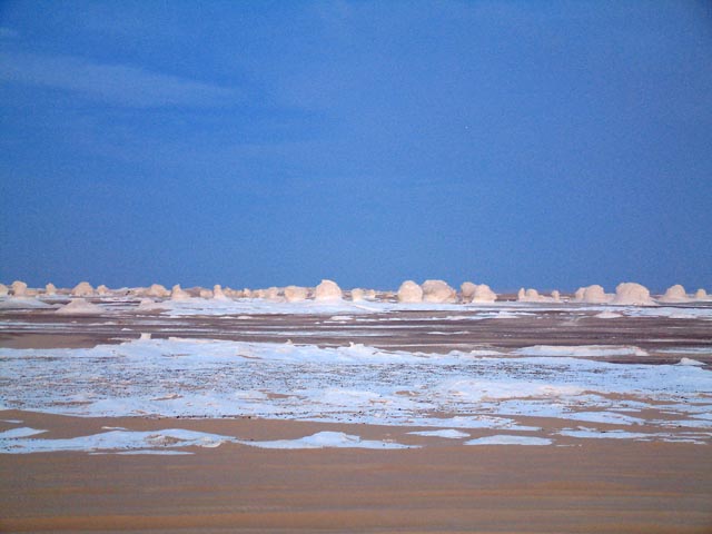 ���v��A�ΊD�₪��蔒���ʂ��Ă���