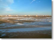 �ΊD�₪�I�o���Ďc��̂悤�Ɍ�����V�������̕��i