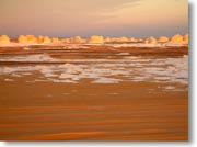 �ΊD�₾�������A���̑�j�͑S�ăI�����W�F�ɐ��܂����V������