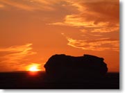 �����ɗ[�������ޗl�q