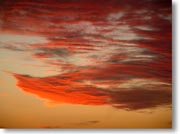 �I�����W�F�ɐ��܂����_