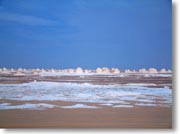 ���v��A�ΊD�₪��蔒���ʂ��Ă���