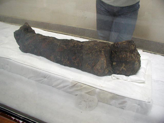 �q���̃~�C��