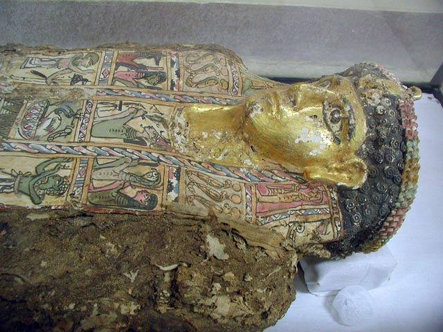 �������{�����~�C���̊�