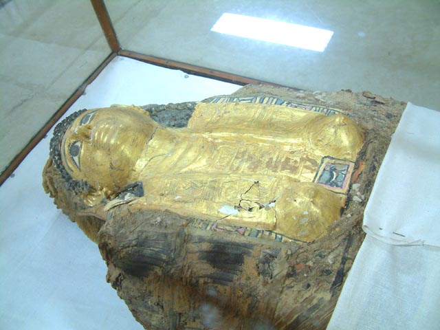 ���܂̃~�C����