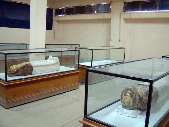 �~�C�������ٓ����̗l�q