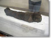 �q���̃~�C��