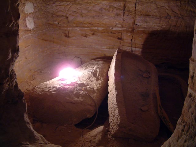 �~�C���������Ă����Ǝv���銻