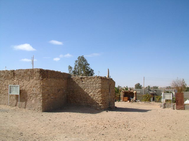 �o���l���e�B�E�̕���O���猩���l�q