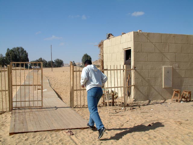 �A�C���E�C���E�}�t�e���_�a�̃`�P�b�g����