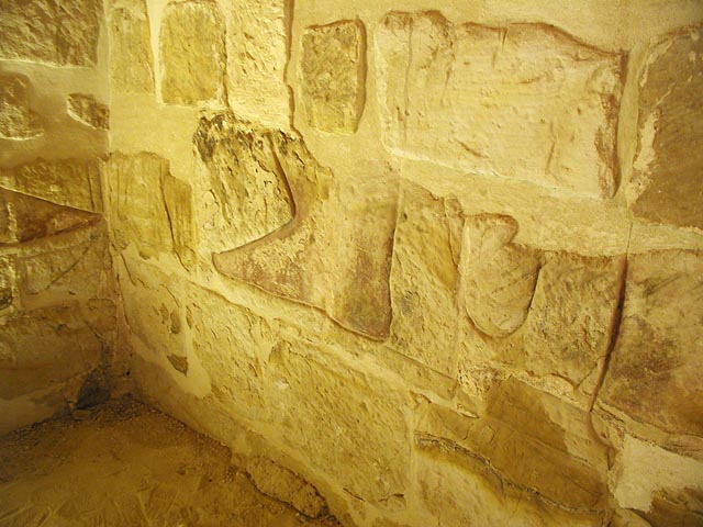 �x�X�_�̑�