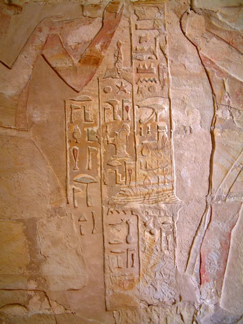 �ǂɌ@��ꂽ����