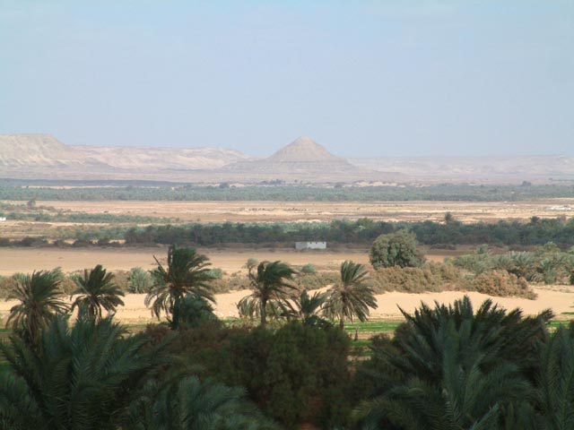 �A�C���E�C���E�}�t�e���_�a���o���Ƃ��납�猩���L��Ȍi�F