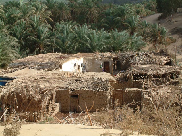 �A�C���E�C���E�}�t�e���_�a���o���Ƃ���ɂ������f�p�ȏZ��