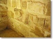 �x�X�_�̑�