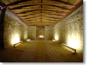 �_�a�̓������������������Ƃ���