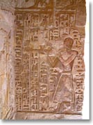 �ǂɌ@��ꂽ����