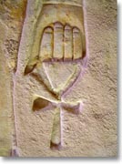 �ǂɌ@��ꂽ�A���N