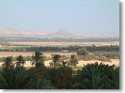 �A�C���E�C���E�}�t�e���_�a���o���Ƃ��납�猩���L��Ȍi�F