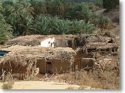 �A�C���E�C���E�}�t�e���_�a���o���Ƃ���ɂ������f�p�ȏZ��