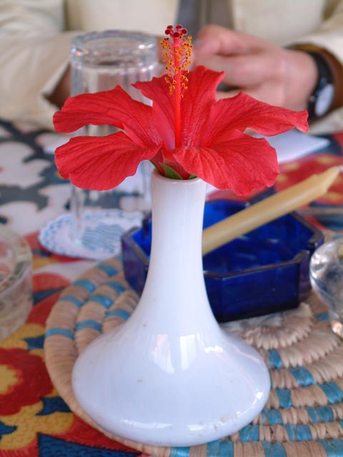 ���X�g�����̃e�[�u���̉�