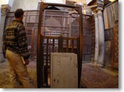 ���Z���M�E�X�����