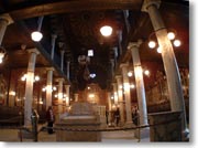 �V�i�S�[�O��