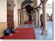 �ʘH�ŐÂ��ɕ׋�����l����