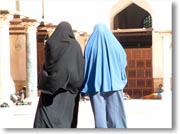 �C�X���������B�̌��p