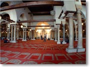 �K�[�~�A�E�A�Y�n������